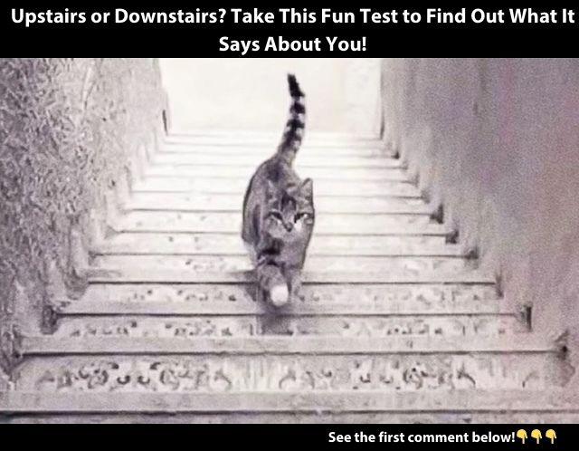 Is the cat going up or down the stairs? Your answer might reveal surprising insights into your personality and how you perceive the world
